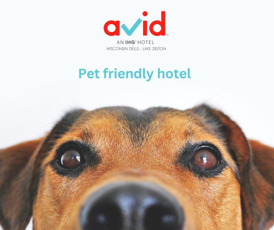 Avid Hotel Wisconsin Dells Lake Delton By Ihg Eksteriør bilde